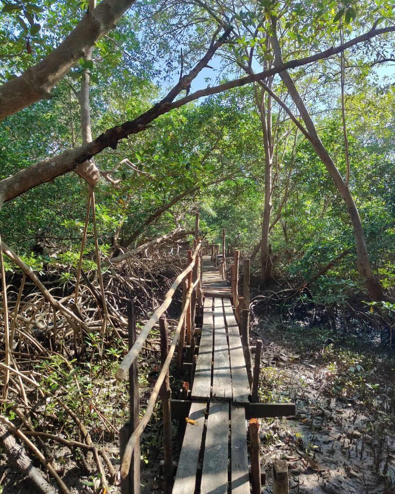 caminho da princesa (15)