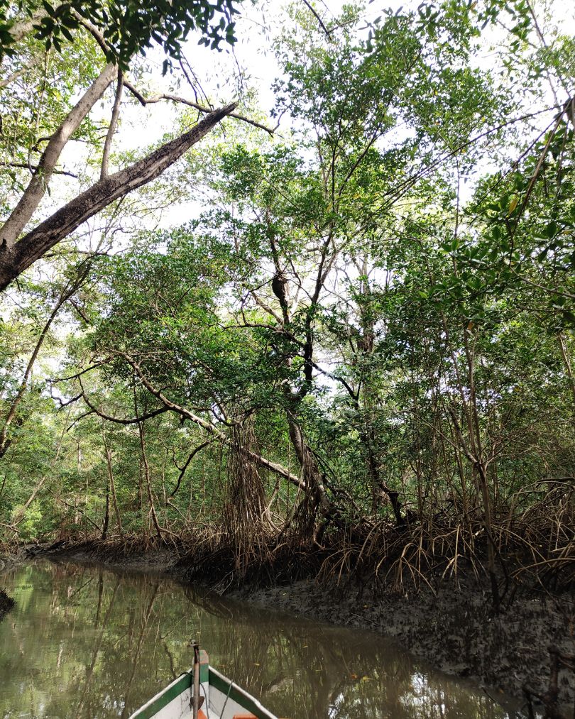 silencio do atlantico (4)
